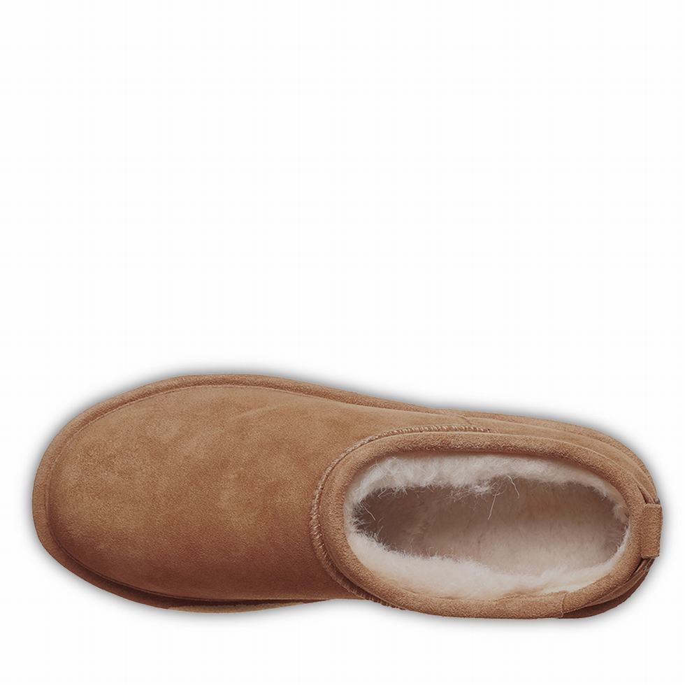 Botas Plataforma Bearpaw Retro Super Shorty Mujer Marrones | ZBJ8145XN