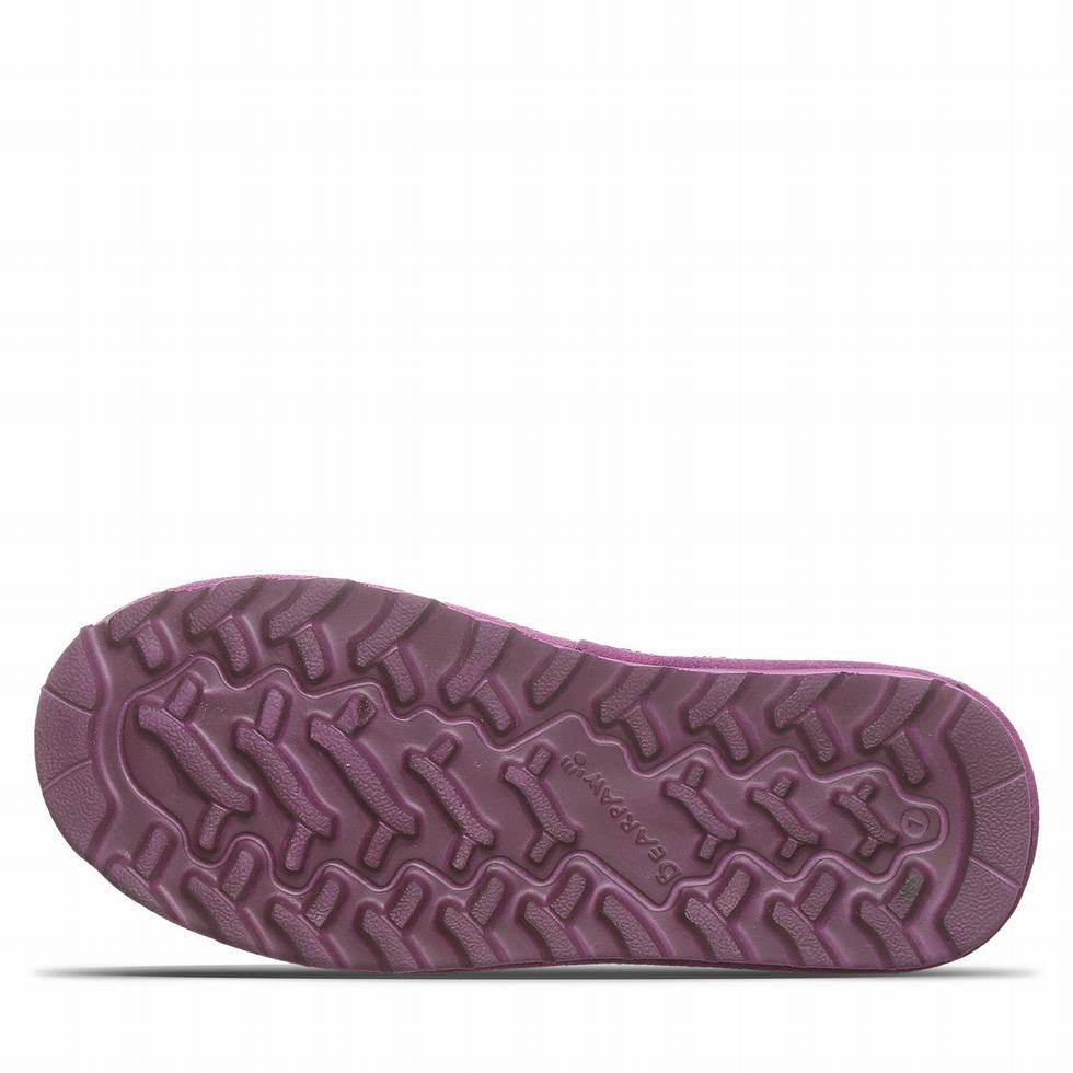 Botas de Nieve Bearpaw Super Shorty Mujer Moradas | ZXY9263ON