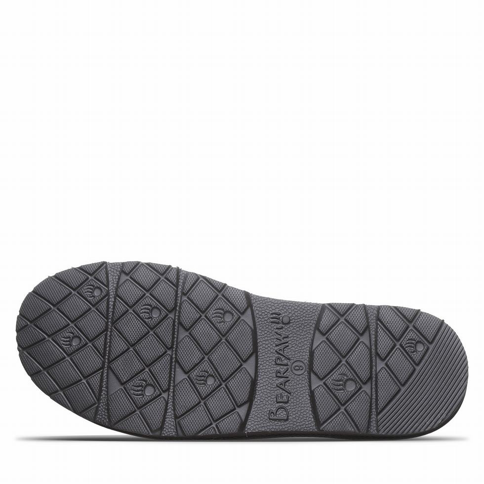 Pantuflas Bearpaw Beau Hombre Gray | ZEP8585KZ