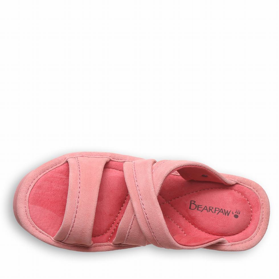 Sandalias Bearpaw Altitude Mujer Rosas | DQX8512VO