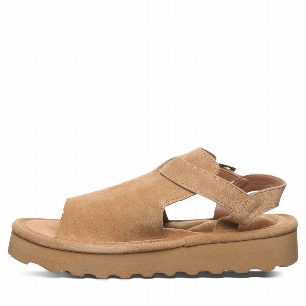 Sandalias Bearpaw Ascend Mujer Marrones | XEK4216JX