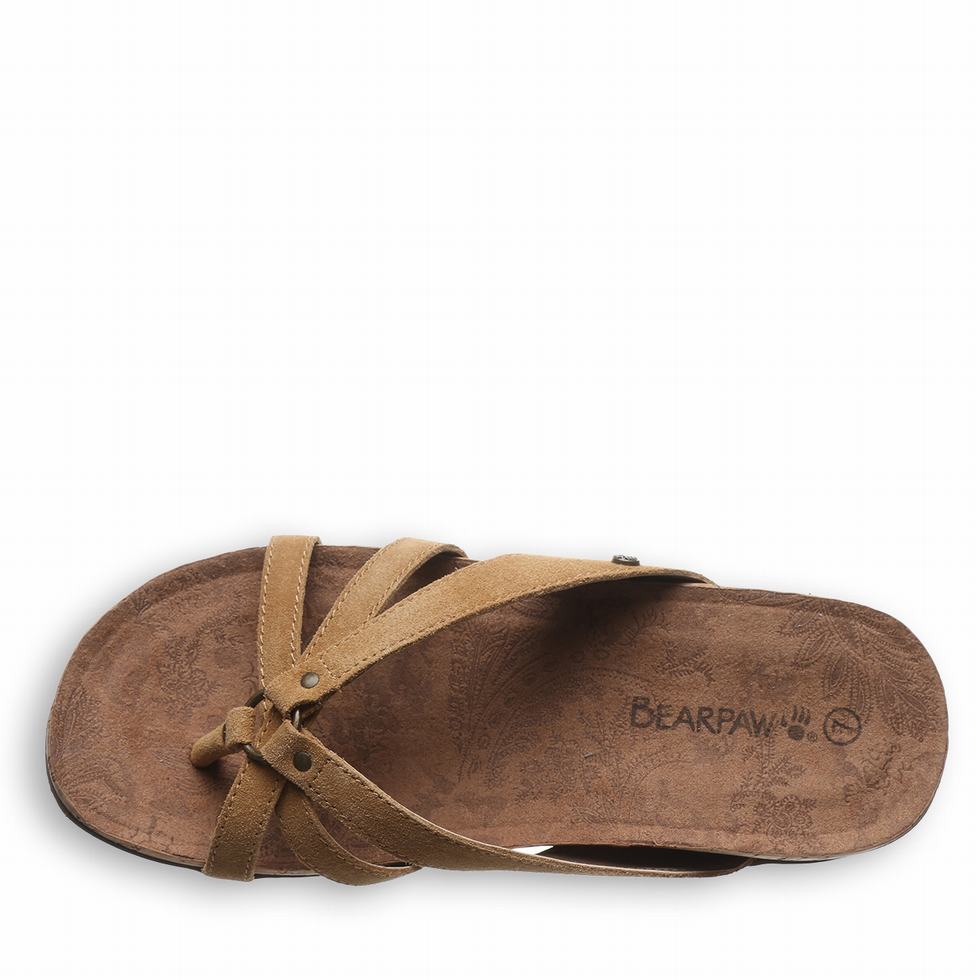 Sandalias Bearpaw Fawn Mujer Marrones | WVY5076YZ