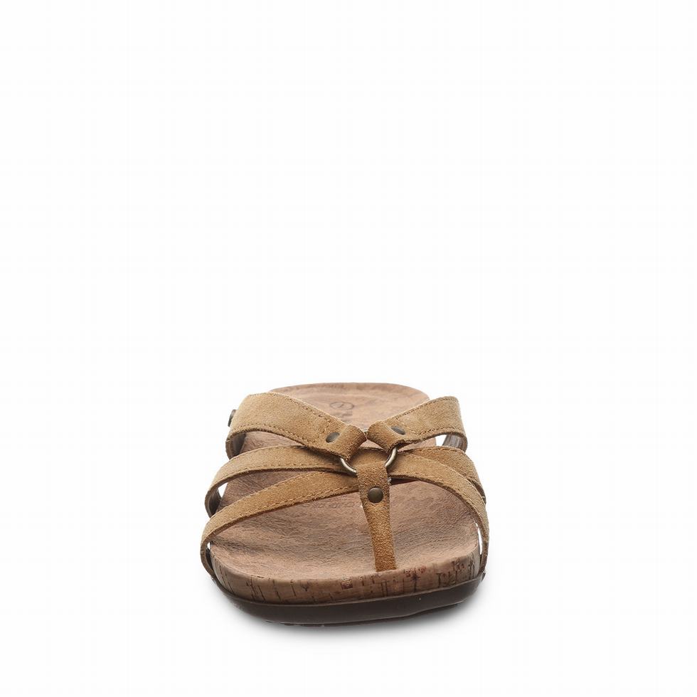 Sandalias Bearpaw Fawn Mujer Marrones | WVY5076YZ